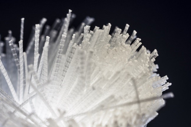 Fiber Reinforcement Solutions 